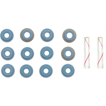 Reinz Engine Valve Stem Oil Seal Set, 12-10133-01 12-10133-01